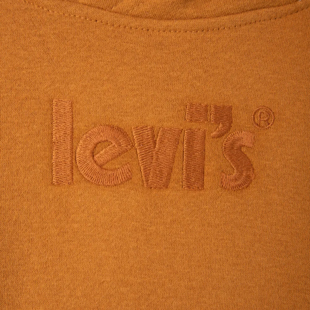 JD Sports Levi's Junior Boys' Logo Pullover Hoodie / Cathay Spice