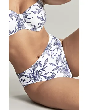 Panache Midi Bikini Brief | Simply Be